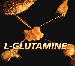 نقش گلوتامین در بدنسازی