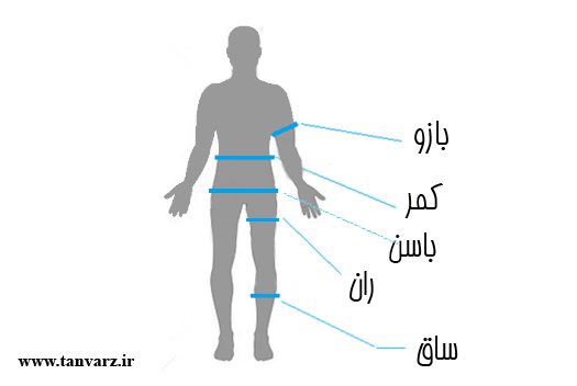 راهنمای اندازه گیری و محاسبه صحیح وزن و قد، دور کمر، شکم، بازو، باسن و غیره
