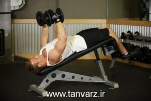 حرکت قفسه زیر سینه با دمبل Decline Dumbbell Flyes