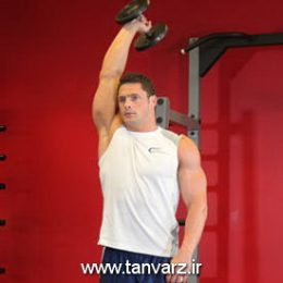 حرکت پشت بازو با دمبل تک دست Standing One-Arm Dumbbell Triceps Extension