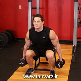 Dumbbell Squat To A Bench 