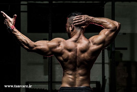 تقویت عضلات پشتی بزرگ