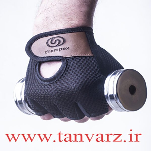 خرید و قیمت دستکش بدنسازی بدون مچ چمپکس (Champex Lifting Gloves Gear Man)