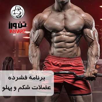 B_Compression program of abdominal and lateral muscles_530-530_1582_990422