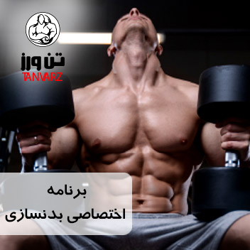 B_Dedicated bodybuilding training_530-530_0303_990422