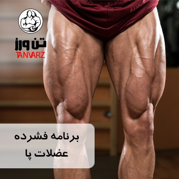 B_Intensive-program-to-increase-leg-muscle-volume_530-530_1596_990422