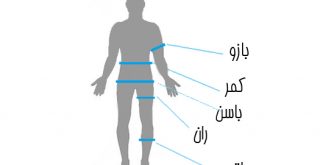 راهنمای اندازه گیری و محاسبه صحیح وزن و قد، دور کمر، شکم، بازو، باسن و غیره